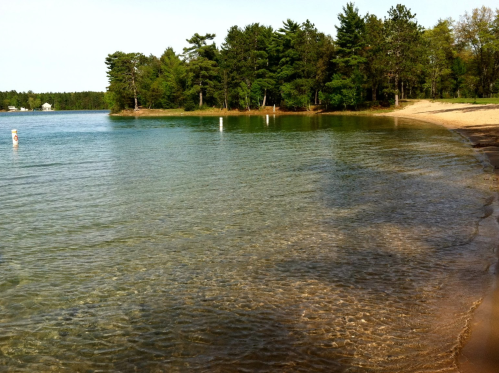 A serene beach scene with clear water, sandy shore, and lush green trees in the background.