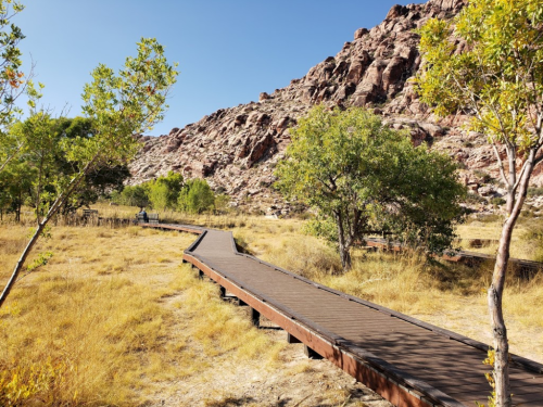 A wooden boardwalk winds through a grassy area with trees, leading towards rocky hills under a clear blue sky.