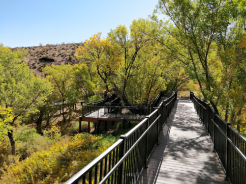 A wooden walkway surrounded by green trees and shrubs, leading through a natural landscape under a clear blue sky.