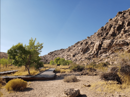 A wooden path leads through a desert landscape with rocky hills and sparse vegetation under a clear blue sky.