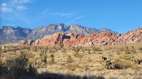 A desert landscape featuring colorful rock formations and mountains under a clear blue sky.