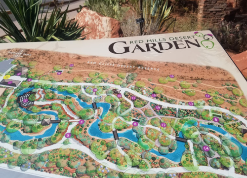 Map of Red Hills Desert Garden, featuring pathways, water features, and plant areas in a desert landscape.