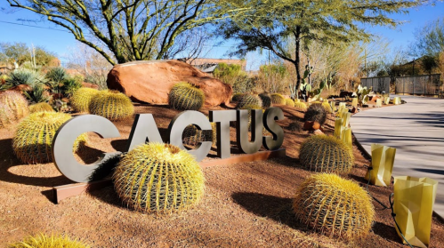 A desert landscape featuring a large "CACTUS" sign surrounded by various cacti and desert plants.