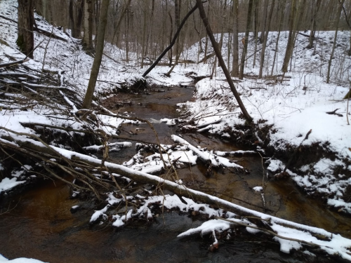 A snowy forest scene with a small stream flowing through, surrounded by bare trees and fallen branches.