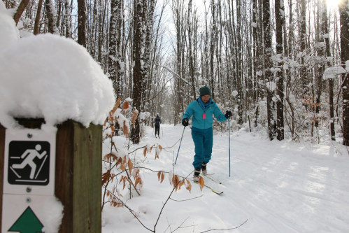 A skier in a blue outfit glides through a snowy forest trail, with trees and a trail sign visible in the foreground.
