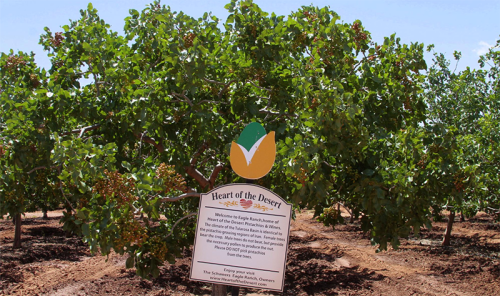 Sign for "Heart of the Desert" in front of a lush tree orchard, showcasing green foliage and a clear blue sky.