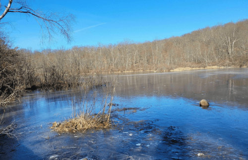 A serene winter scene of a partially frozen lake surrounded by bare trees under a clear blue sky.