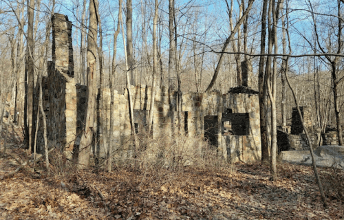 Ruins of a stone structure surrounded by bare trees and fallen leaves in a wooded area.