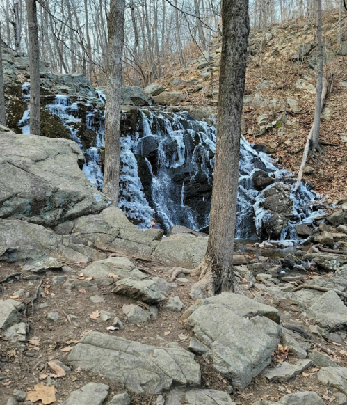 A small waterfall cascades over rocks in a wooded area, surrounded by bare trees and fallen leaves.