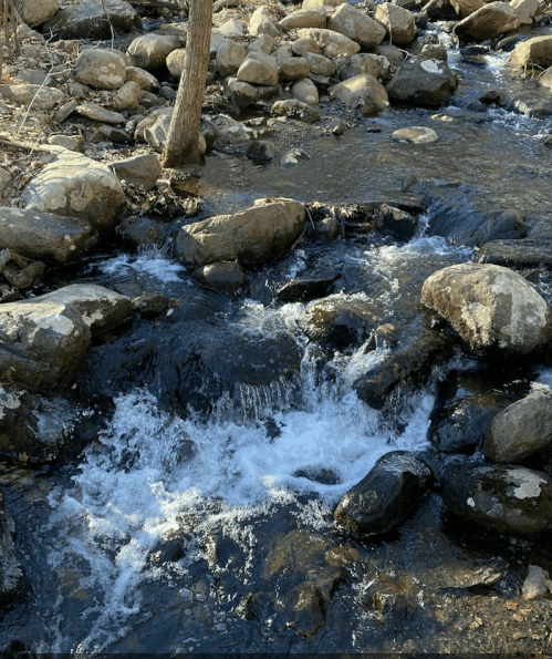 A serene stream flows over smooth rocks, surrounded by trees and natural scenery.