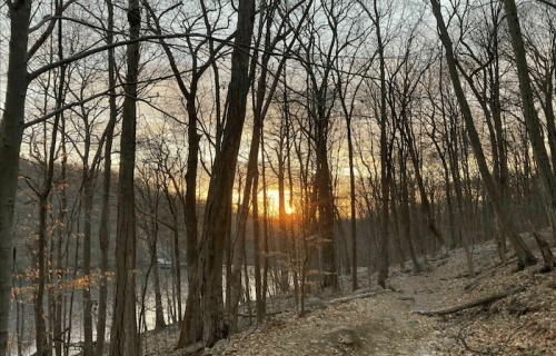 Sunset peeking through bare trees along a serene path by a river, with soft light reflecting on the water.