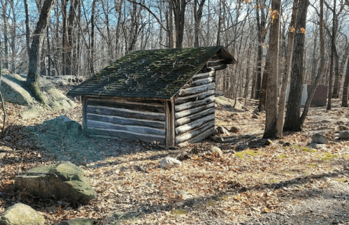 A small, rustic log cabin with a mossy roof, surrounded by trees and rocks in a wooded area.