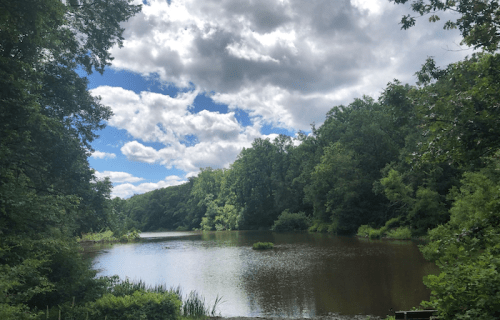 A serene lake surrounded by lush green trees under a partly cloudy sky.