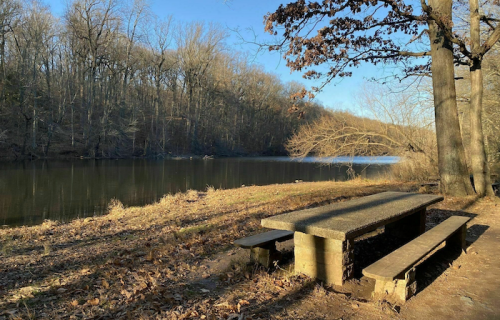A serene riverside scene featuring a stone picnic table surrounded by bare trees and fallen leaves.