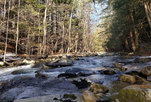 A serene river flows through a forest, surrounded by rocks and trees, with sunlight filtering through the branches.