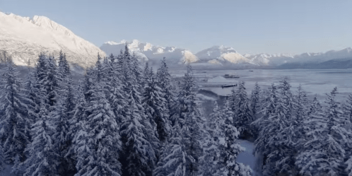 Aerial view of snow-covered mountains and trees beside a frozen lake under a clear blue sky.