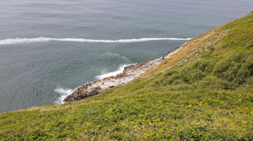 Aerial view of a rocky coastline with green vegetation and waves gently lapping against the shore.