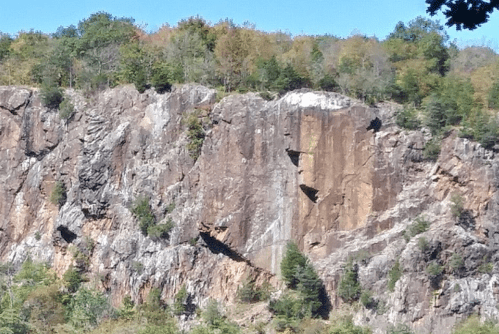 Rocky cliff face with trees and foliage in the background, showcasing natural textures and colors.