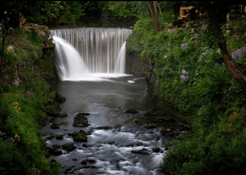 A serene waterfall cascades into a lush, green river surrounded by rocks and vibrant wildflowers.