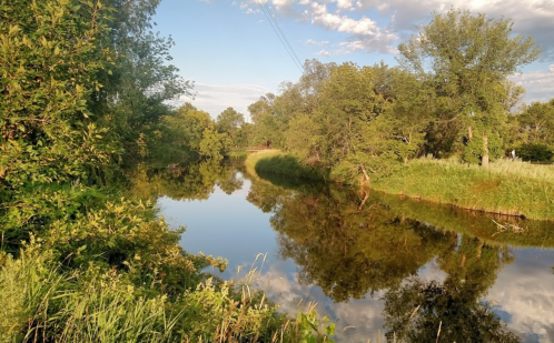 A serene river bends through lush greenery, reflecting trees and a clear sky in the calm water.