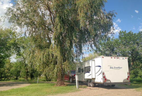 A parked RV under a large tree, surrounded by greenery and blue skies.