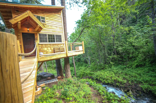 A wooden treehouse with a deck overlooking a lush green forest and a small stream.