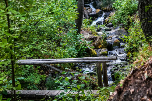 A wooden bridge over a small stream, surrounded by lush green foliage and rocky terrain.