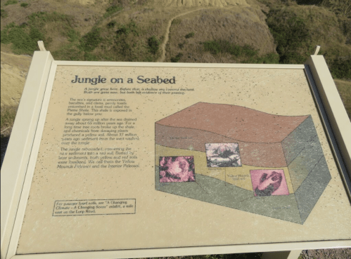 Sign describing geological layers titled "Jungle on a Seabed," with images of fossils and a scenic view in the background.