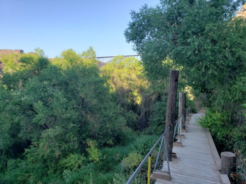 A wooden walkway surrounded by lush greenery, leading towards a bridge in the distance under a clear blue sky.