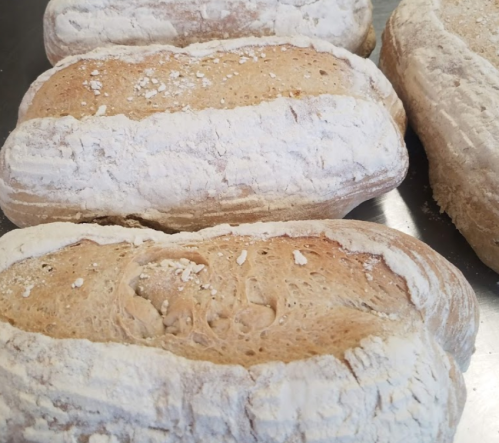 Freshly baked loaves of bread dusted with flour, resting on a metal surface.