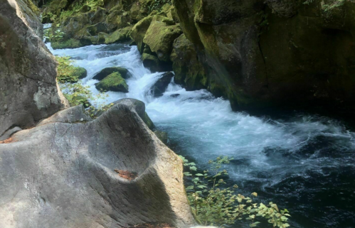 A serene river flows between moss-covered rocks, surrounded by lush greenery.