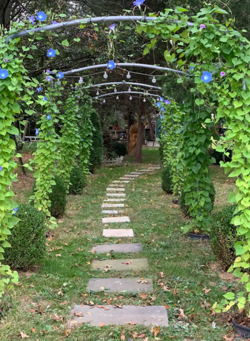 A stone path leads through a lush green archway adorned with vines and blue flowers, surrounded by trimmed bushes.