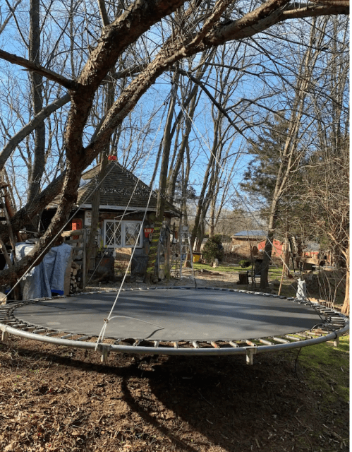 A trampoline is set up in a wooded backyard, with a small shed and trees in the background under a clear blue sky.