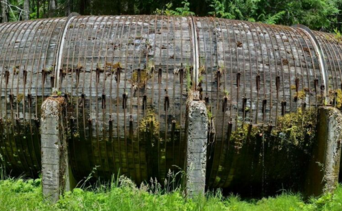 A large, weathered wooden structure covered in moss and surrounded by greenery in a forested area.