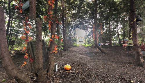 A forest path lined with trees, adorned with autumn leaves and a pumpkin, leading to a bright, distant archway.