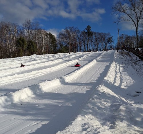 Two people sledding down a snowy hill on a clear day, surrounded by trees and blue skies.