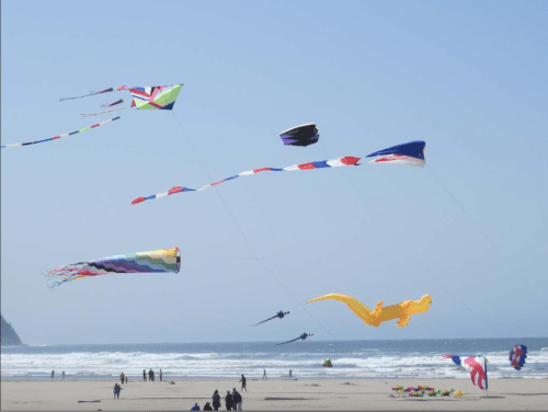 Colorful kites flying over a beach with people enjoying the sunny day and waves in the background.
