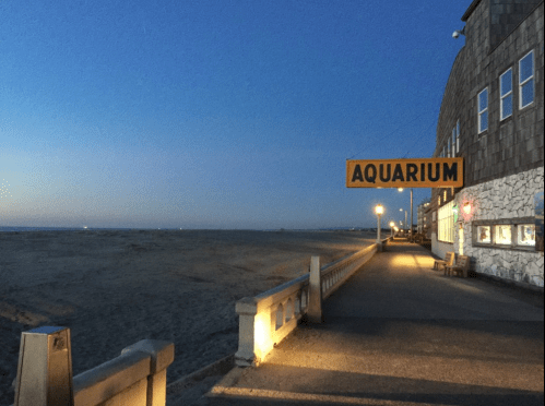 A quiet beachside path at dusk, featuring an "AQUARIUM" sign and a view of the sandy shore.