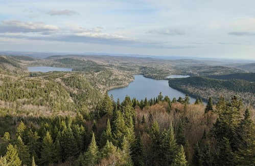 A panoramic view of lush green forests and serene lakes under a cloudy sky.