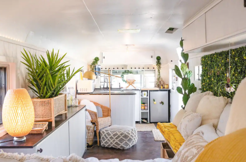 Cozy interior of a renovated bus, featuring plants, a yellow couch, and a modern kitchen area. Bright and inviting atmosphere.