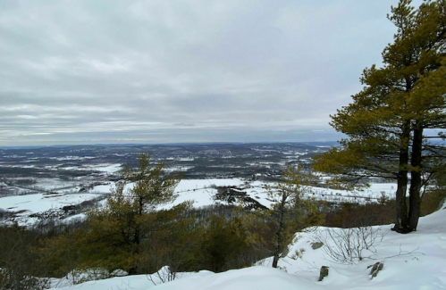 A snowy landscape with rolling hills and a cloudy sky, framed by evergreen trees in the foreground.