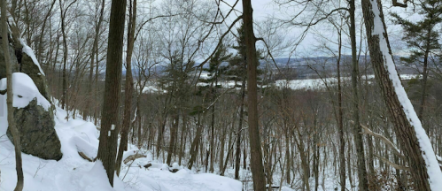 A snowy forest scene with bare trees and a distant view of hills under a cloudy sky.
