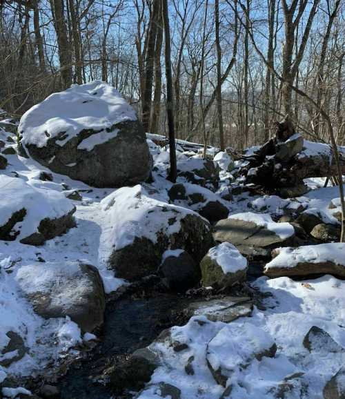 A snowy landscape with large rocks, a small stream, and bare trees under a clear blue sky.
