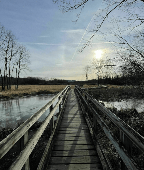 A wooden bridge leads through a serene landscape with trees, a field, and a sunlit sky.