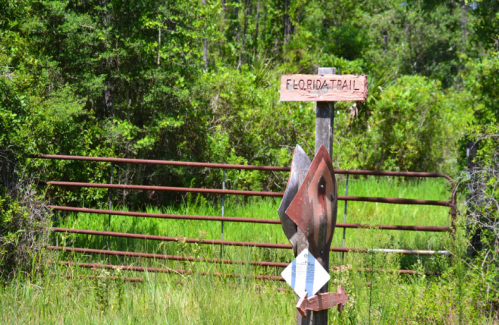 A wooden sign for the Florida Trail stands near a rusted gate, surrounded by lush green vegetation.