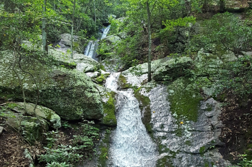 A serene forest scene featuring a cascading waterfall over moss-covered rocks, surrounded by lush greenery.