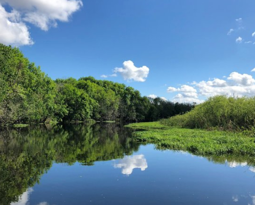 A serene river scene with lush green trees and blue sky reflected in calm water, dotted with fluffy white clouds.
