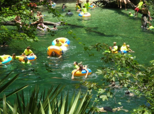 People swimming and floating on colorful inner tubes in a clear, greenish water surrounded by trees.