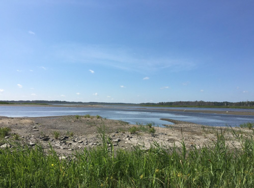A serene landscape featuring a calm river, grassy banks, and a clear blue sky with scattered clouds.
