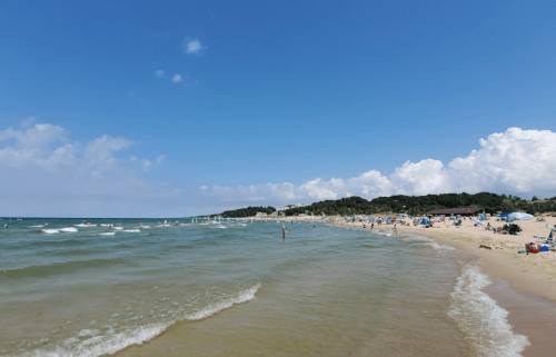 A sunny beach scene with people enjoying the water and sand, surrounded by trees and fluffy clouds in the sky.